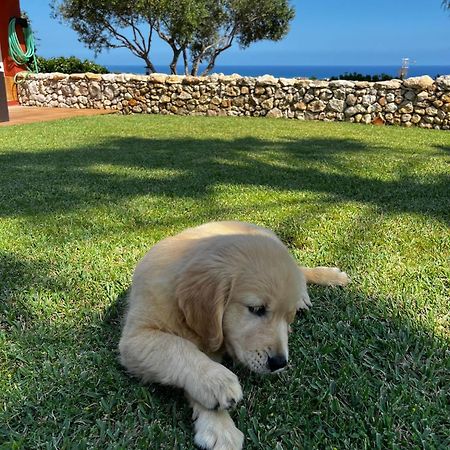 Tu Pequeno Paraiso Villa Calafell Exterior foto
