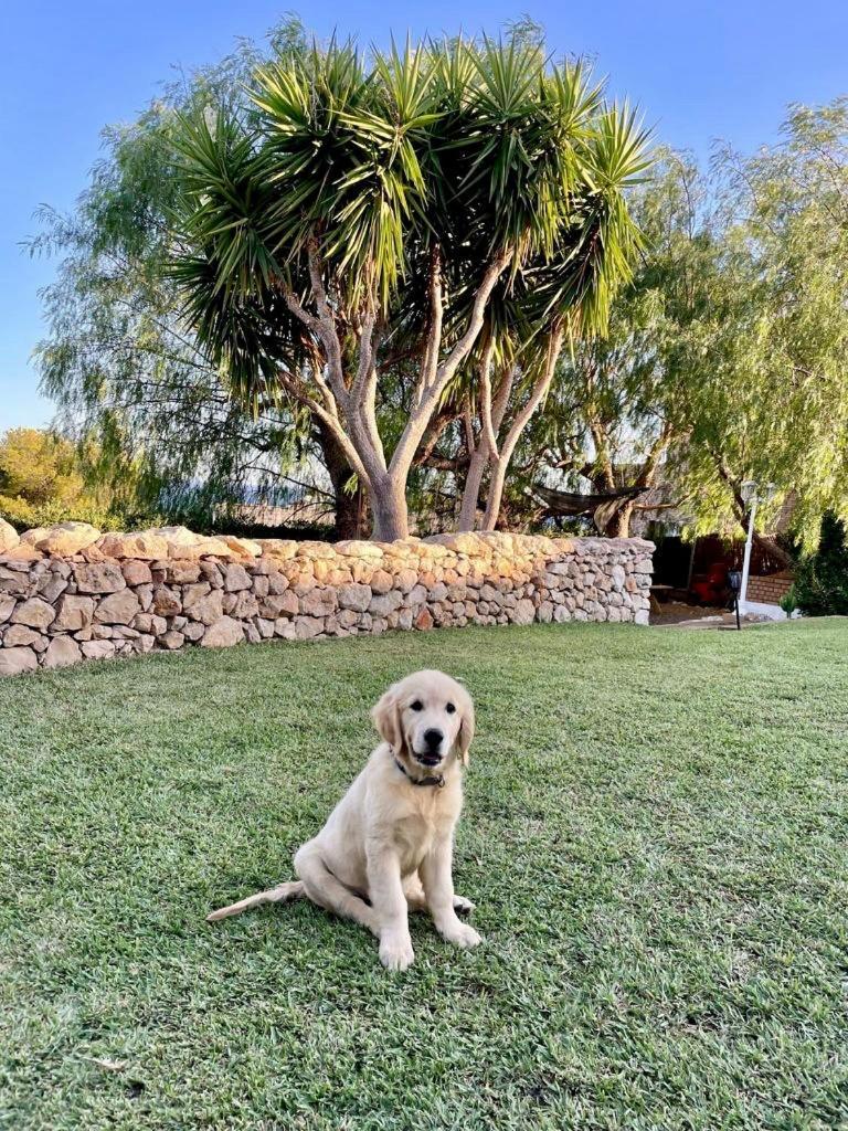 Tu Pequeno Paraiso Villa Calafell Exterior foto