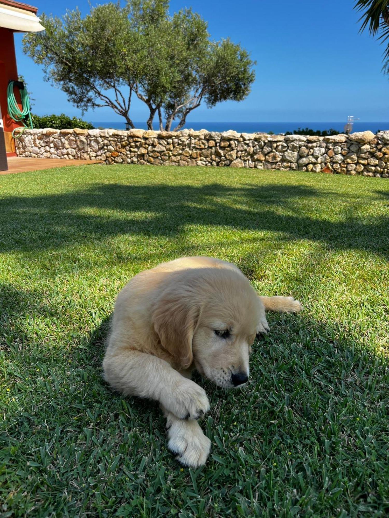 Tu Pequeno Paraiso Villa Calafell Exterior foto